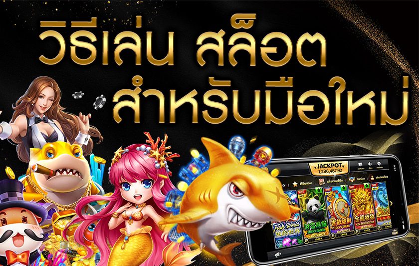 สูตรเล่นสล็อตสำหรับมือใหม่